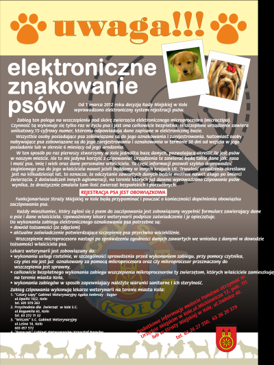 Elektroniczne znakowanie psów